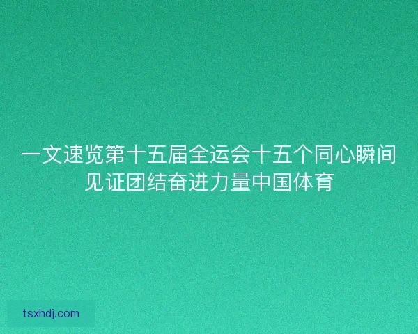 一文速览第十五届全运会十五个同心瞬间见证团结奋进力量中国体育